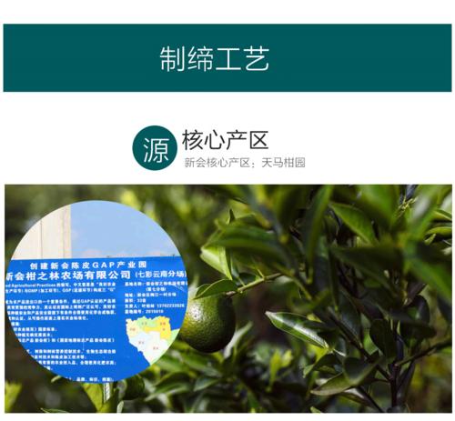 七彩云南柑之悦小青柑250克 庆沣祥新会陈皮普洱茶熟茶 柑普茶罐装
